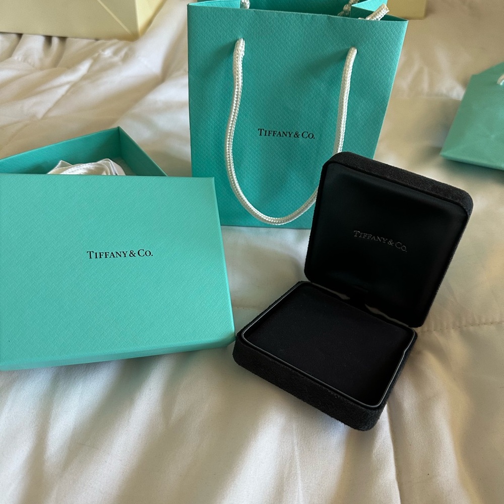 Tiffany & Co. Turquoise Bag and Black Velvet Box